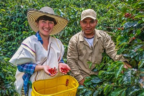 Iván Cano's Coffee & Dreams Tour: A Colombian Soul Soaring Across Borders